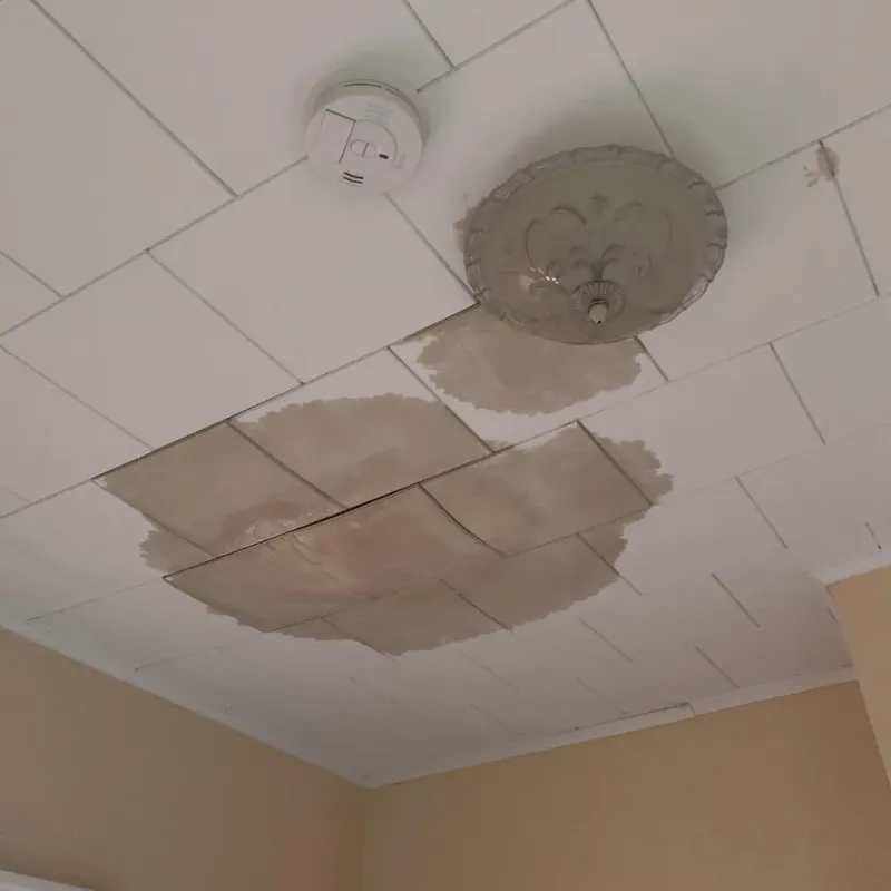 Ceiling Water Damage Repair in Brice Prairie, WI
