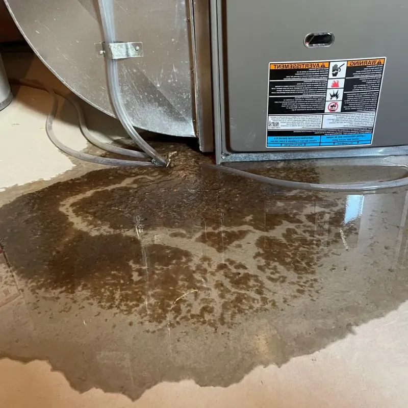 Pipe Burst and Leak Restoration in Brice Prairie, WI