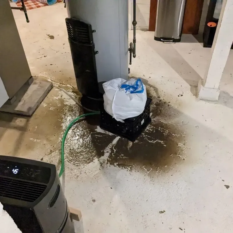 Sewage Backup Cleanup Service in Brice Prairie, WI